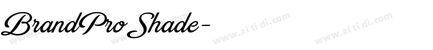 BrandPro Shade字体转换
